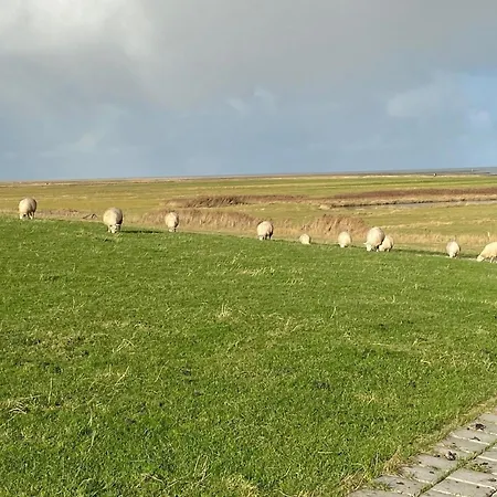 Prázdninový dům In Fedderwardersiel Mit Garten